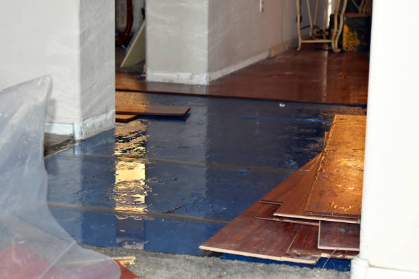 Professional Water Extraction technician working in Springtown, PA